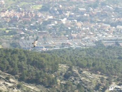 Abantos y Puerto de Malagón; setas madrid monte de el pardo las presillas de rascafria nacimiento rí